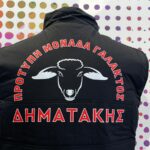 Αμάνικα γιλέκα με στάμπα θερμομεταφοράς