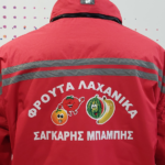 Μπουφάν με στάμπα θερμομεταφοράς